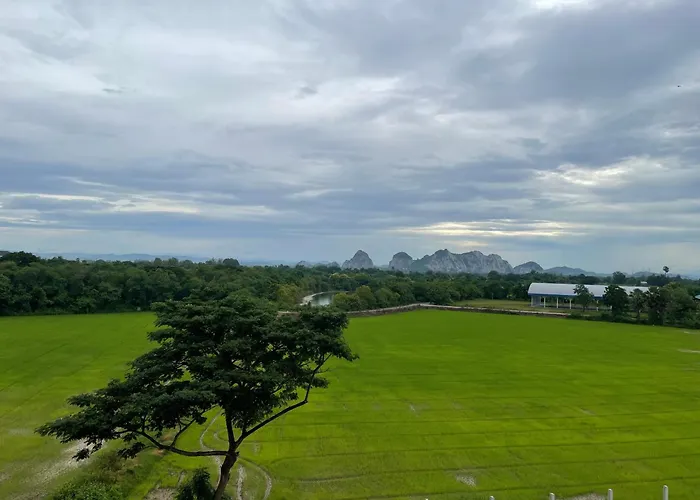 บ้านสุขใจ สามใบเถา 3*